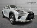 AutoSilver