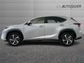 AutoSilver