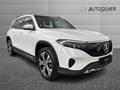 AutoSilver