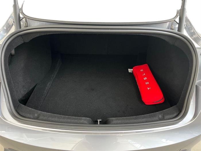 AutoSilver - TESLA Model 3 | ID 45015